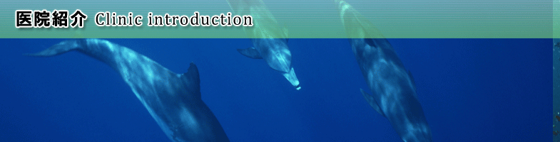 医院紹介